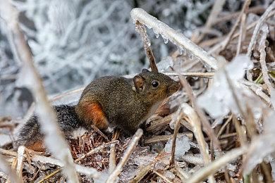 《生化危机》次世代更新新讯：实体版玩家也可更新